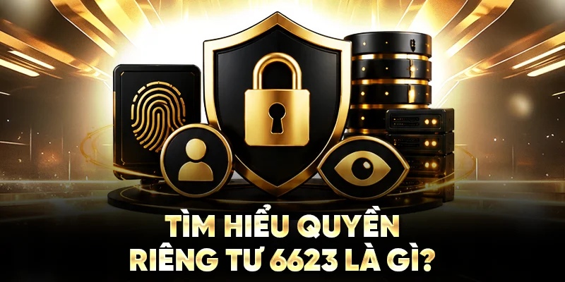 Tìm hiểu quyền riêng tư 6623 là gì?